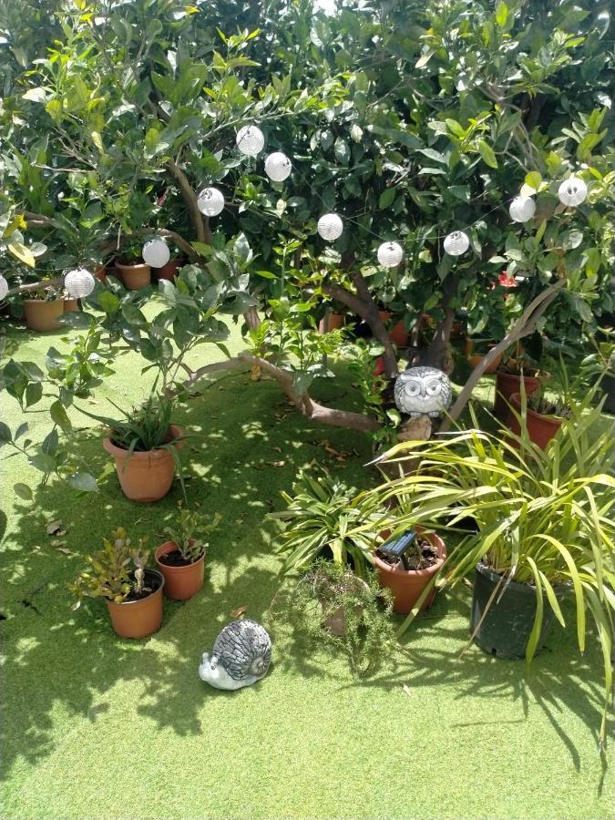 Casa Nine Con Piscina Vacacional La Palma Breña Baja Exterior foto